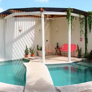 Pecari Bed & Breakfast Cancún